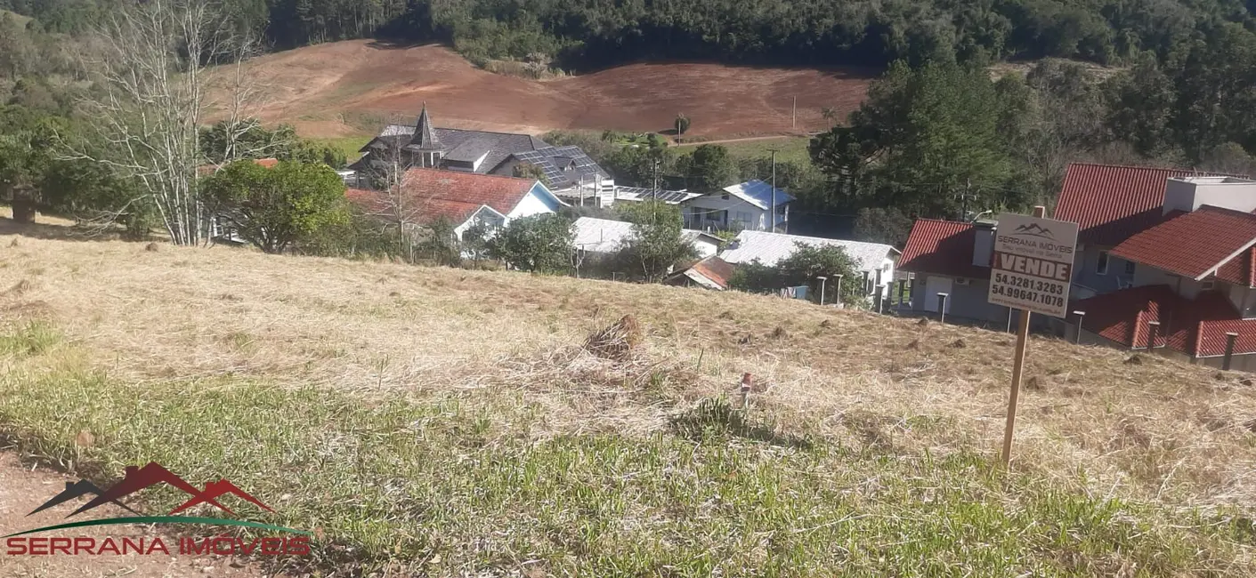 Terreno / Lote à venda, 558m2 em Picada Cafe - RS - imagem 8 Foto 8 de Terreno / Lote à venda, 558m2 em Picada Cafe - RS