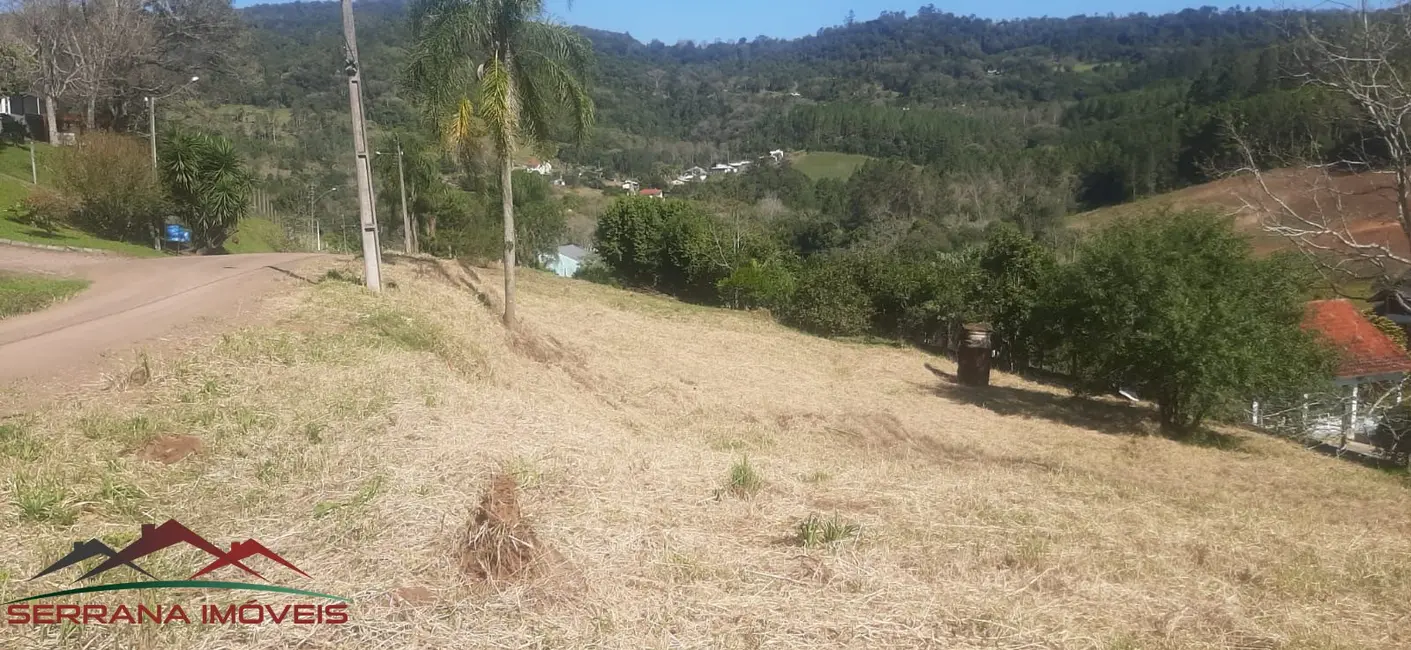 Terreno / Lote à venda, 558m2 em Picada Cafe - RS - imagem 5 Foto 5 de Terreno / Lote à venda, 558m2 em Picada Cafe - RS