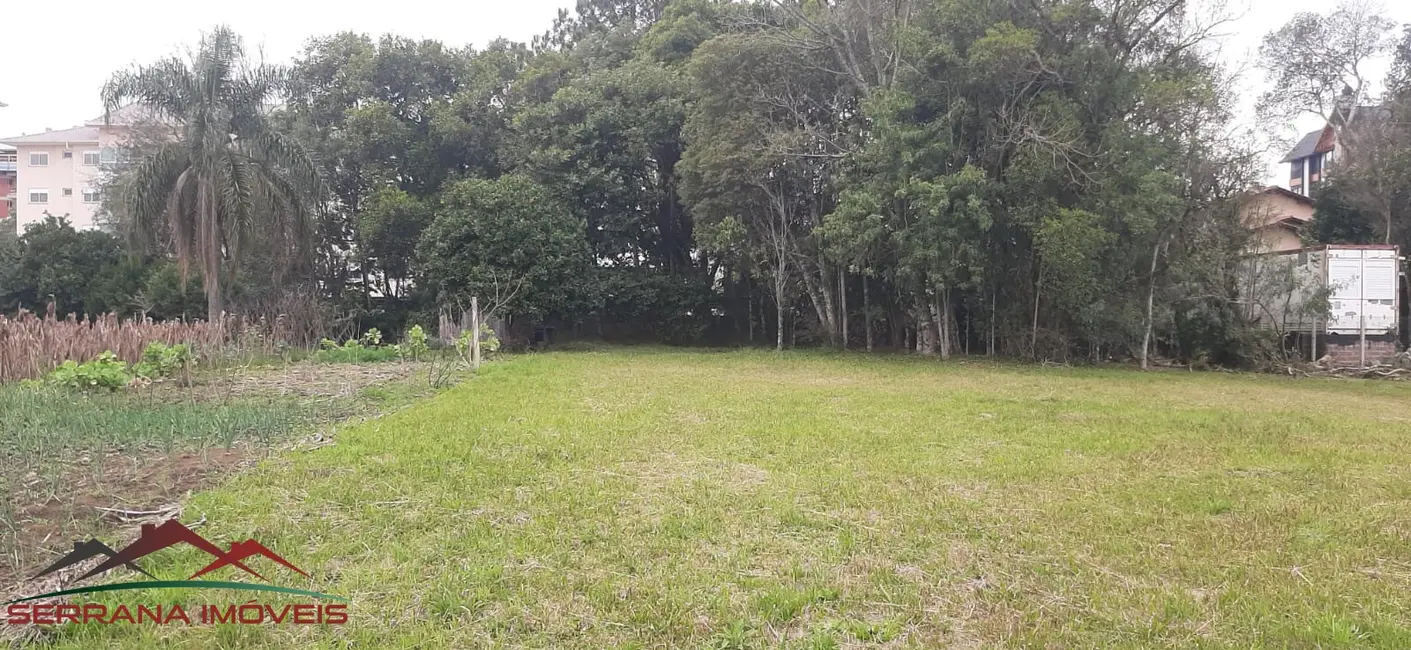 Terreno / Lote à venda, 1115m2 em Nova Petropolis - RS - imagem 1 Foto 1 de Terreno / Lote à venda, 1115m2 em Nova Petropolis - RS