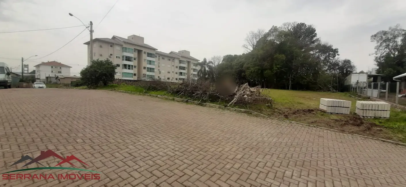 Terreno / Lote à venda, 1115m2 em Nova Petropolis - RS - imagem 8 Foto 8 de Terreno / Lote à venda, 1115m2 em Nova Petropolis - RS