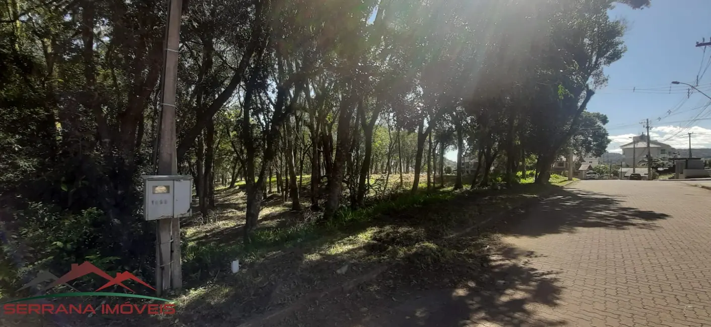 Foto 2 de Terreno / Lote à venda, 477m2 em Nova Petropolis - RS
