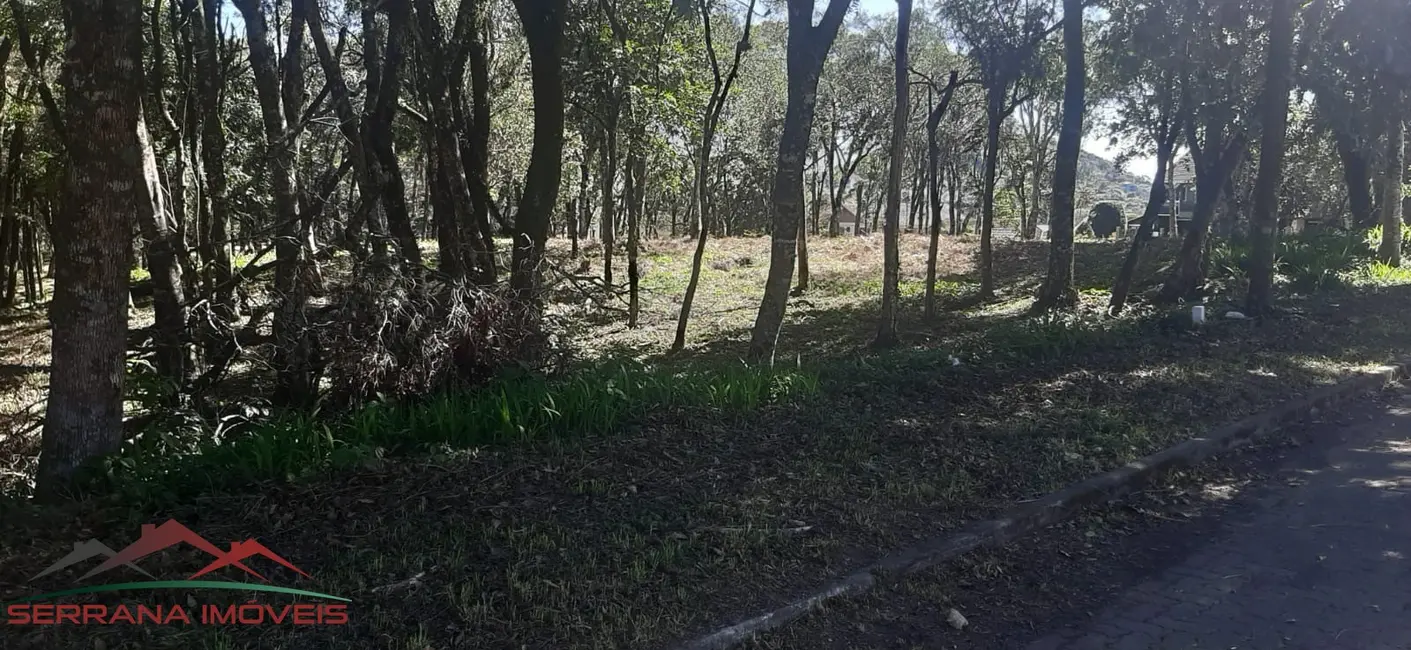 Foto 6 de Terreno / Lote à venda, 477m2 em Nova Petropolis - RS
