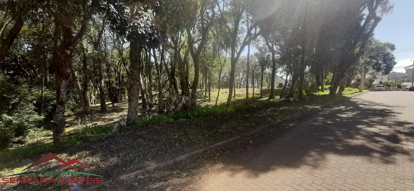 Foto 1 de Terreno / Lote à venda, 477m2 em Nova Petropolis - RS