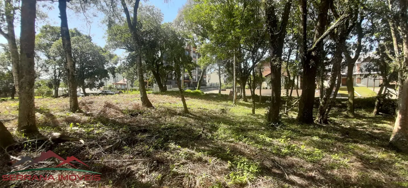 Foto 5 de Terreno / Lote à venda, 477m2 em Nova Petropolis - RS