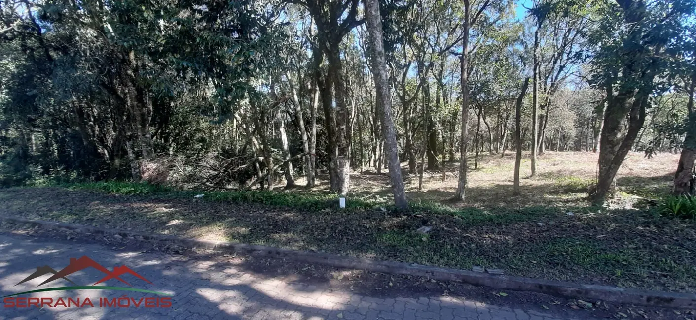 Foto 3 de Terreno / Lote à venda, 477m2 em Nova Petropolis - RS