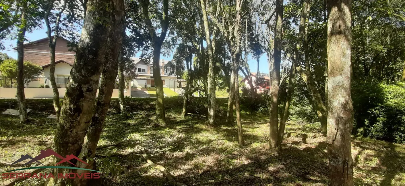 Foto 8 de Terreno / Lote à venda, 477m2 em Nova Petropolis - RS