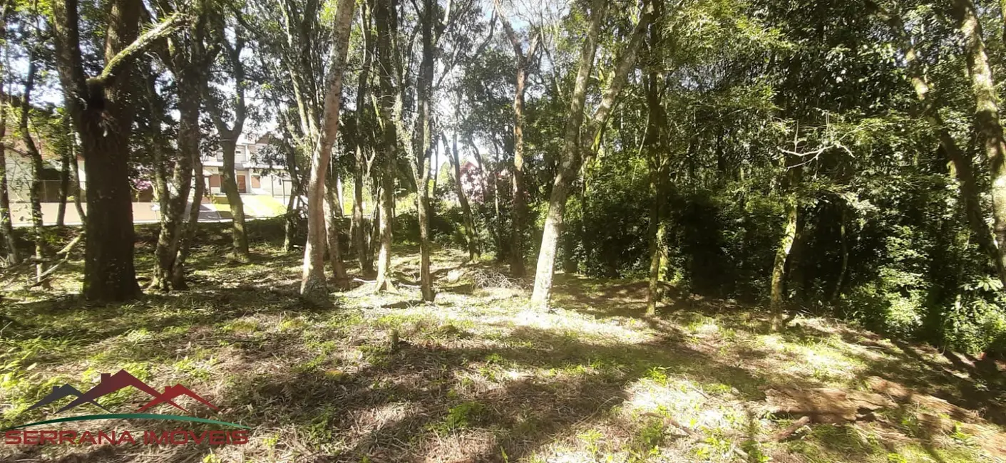 Foto 7 de Terreno / Lote à venda, 477m2 em Nova Petropolis - RS