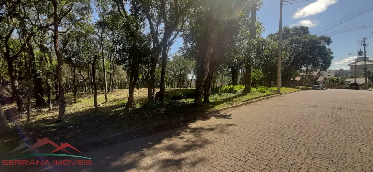 Terreno / Lote à venda, 468m2 em Nova Petropolis - RS - imagem 3 Foto 3 de Terreno / Lote à venda, 468m2 em Nova Petropolis - RS