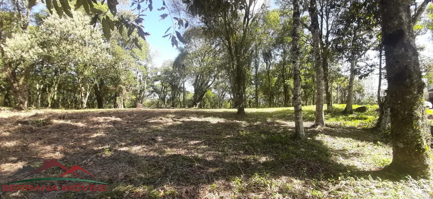 Terreno / Lote à venda, 432m2 em Nova Petropolis - RS - imagem 8 Foto 8 de Terreno / Lote à venda, 432m2 em Nova Petropolis - RS