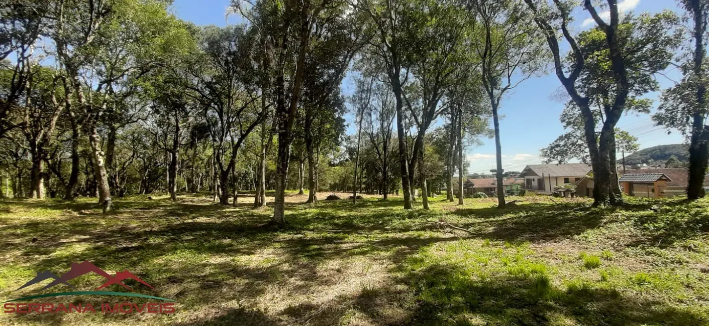 Foto 4 de Terreno / Lote à venda, 467m2 em Nova Petropolis - RS