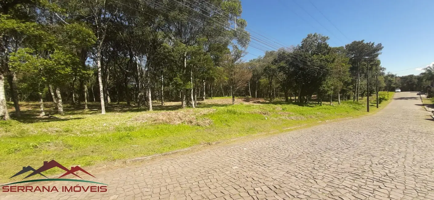 Foto 1 de Terreno / Lote à venda, 467m2 em Nova Petropolis - RS
