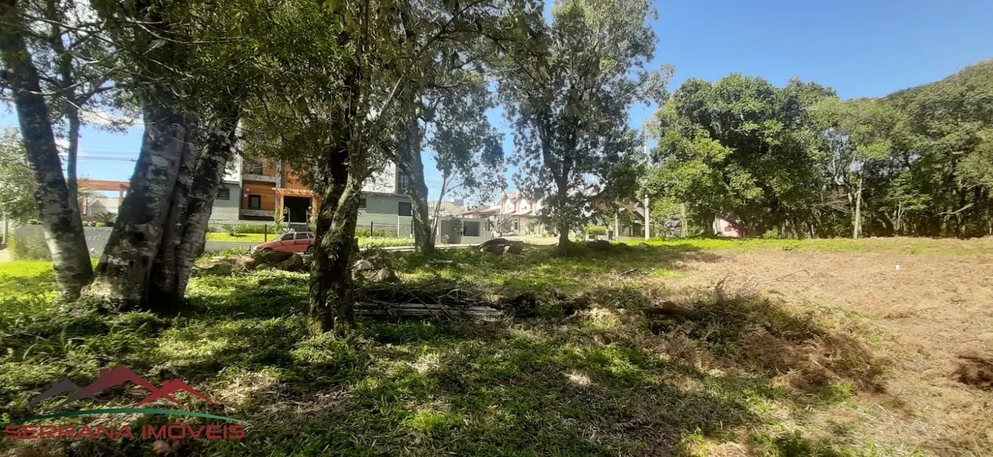 Foto 2 de Terreno / Lote à venda, 467m2 em Nova Petropolis - RS