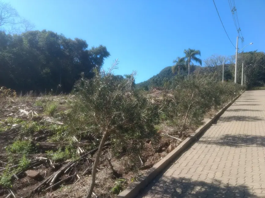 Terreno / Lote à venda, 360m2 em Picada Cafe - RS - imagem 4 Foto 4 de Terreno / Lote à venda, 360m2 em Picada Cafe - RS