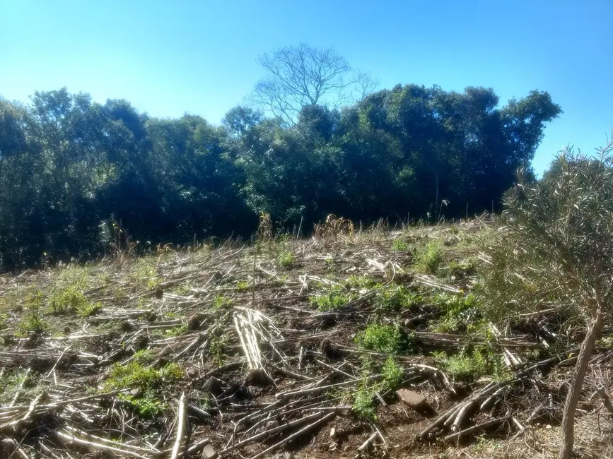 Terreno / Lote à venda, 360m2 em Picada Cafe - RS - imagem 3 Foto 3 de Terreno / Lote à venda, 360m2 em Picada Cafe - RS