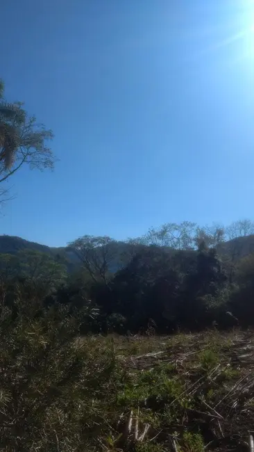 Terreno / Lote à venda, 360m2 em Picada Cafe - RS - imagem 5 Foto 5 de Terreno / Lote à venda, 360m2 em Picada Cafe - RS