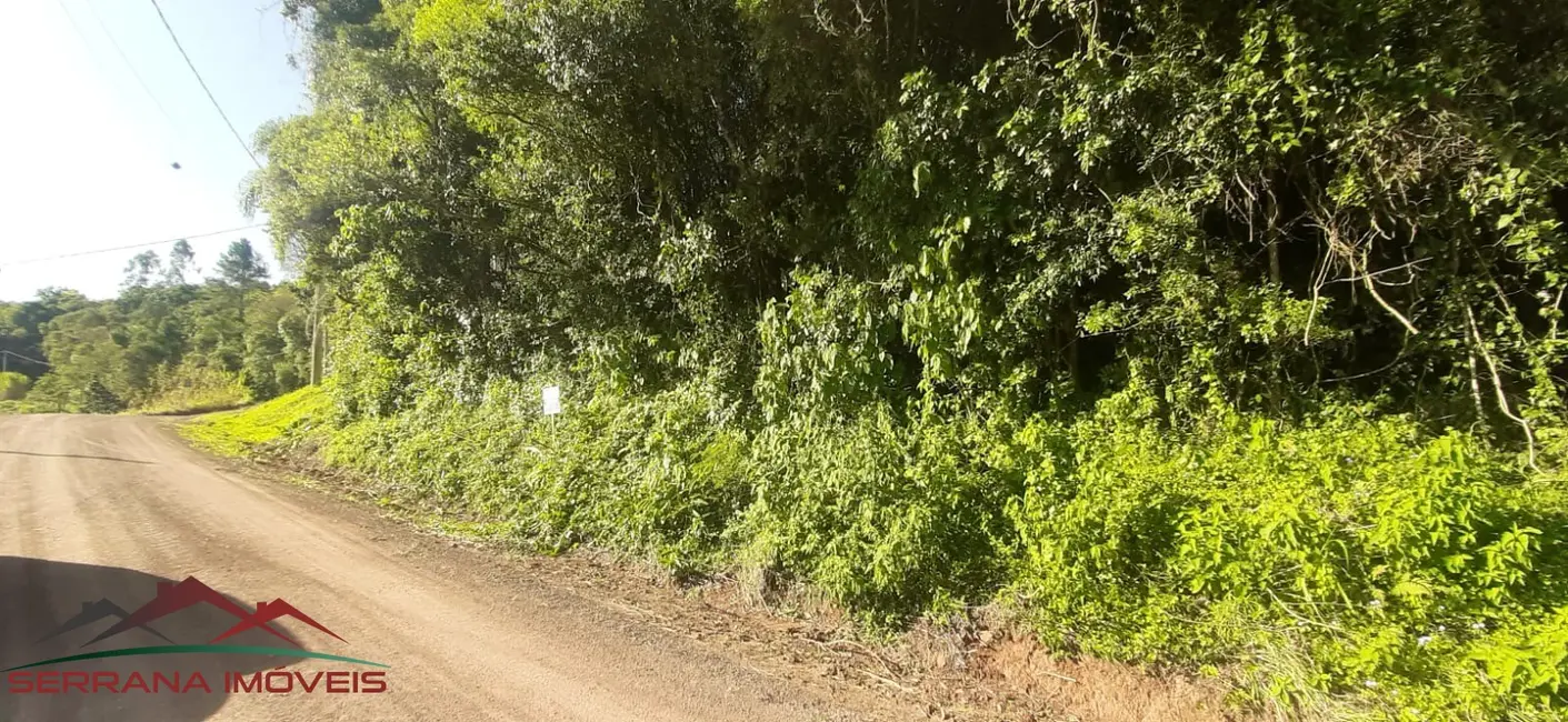 Terreno / Lote à venda, 43000m2 em Picada Cafe - RS - imagem 9 Foto 9 de Terreno / Lote à venda, 43000m2 em Picada Cafe - RS