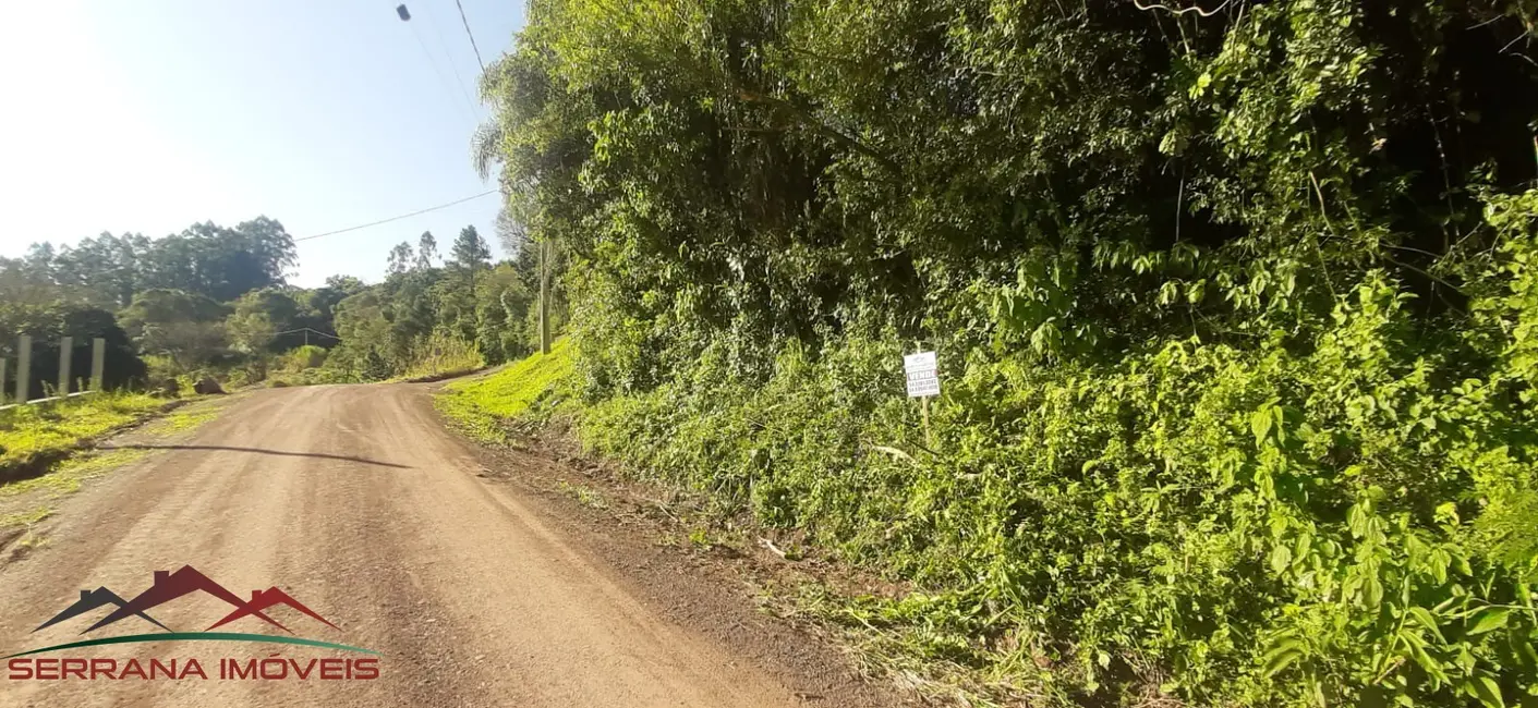 Terreno / Lote à venda, 43000m2 em Picada Cafe - RS - imagem 7 Foto 7 de Terreno / Lote à venda, 43000m2 em Picada Cafe - RS
