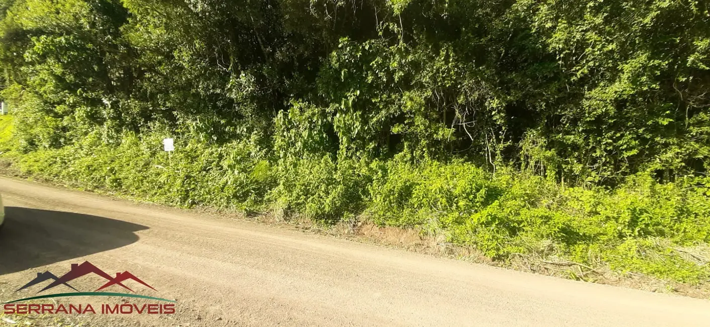 Terreno / Lote à venda, 43000m2 em Picada Cafe - RS - imagem 4 Foto 4 de Terreno / Lote à venda, 43000m2 em Picada Cafe - RS