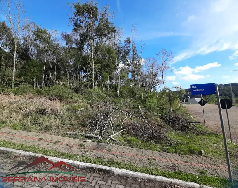 Terreno / Lote à venda, 503m2 em Nova Petropolis - RS - imagem 2 Foto 2 de Terreno / Lote à venda, 503m2 em Nova Petropolis - RS