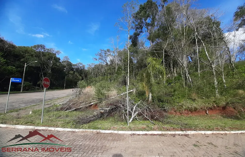 Terreno / Lote à venda, 503m2 em Nova Petropolis - RS - imagem 1 Foto 1 de Terreno / Lote à venda, 503m2 em Nova Petropolis - RS