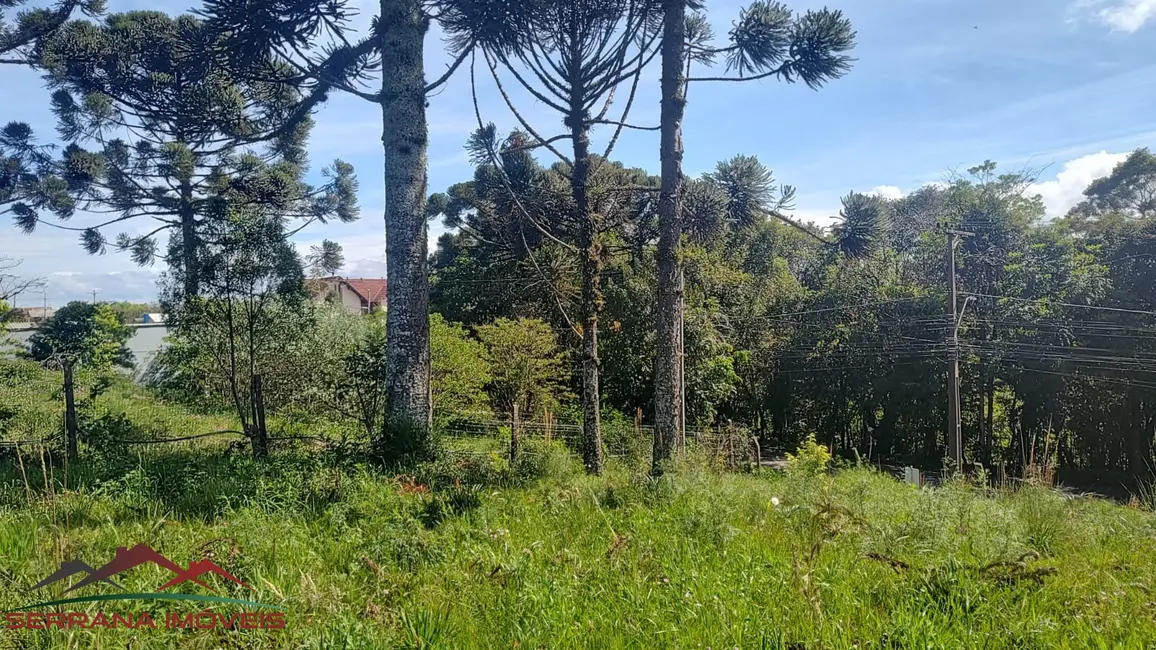 Terreno / Lote à venda, 1025m2 em Nova Petropolis - RS - imagem 5 Foto 5 de Terreno / Lote à venda, 1025m2 em Nova Petropolis - RS