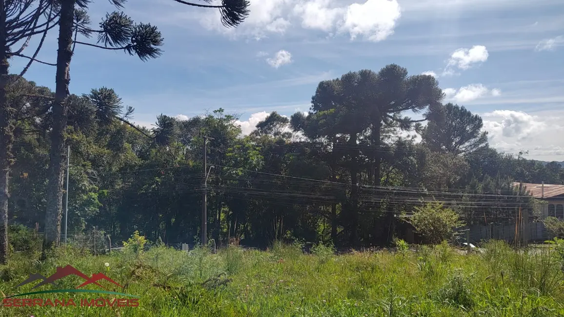Terreno / Lote à venda, 1025m2 em Nova Petropolis - RS - imagem 7 Foto 7 de Terreno / Lote à venda, 1025m2 em Nova Petropolis - RS