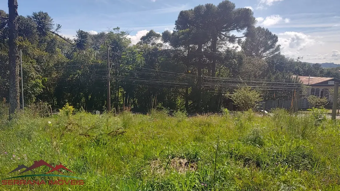 Terreno / Lote à venda, 1025m2 em Nova Petropolis - RS - imagem 9 Foto 9 de Terreno / Lote à venda, 1025m2 em Nova Petropolis - RS