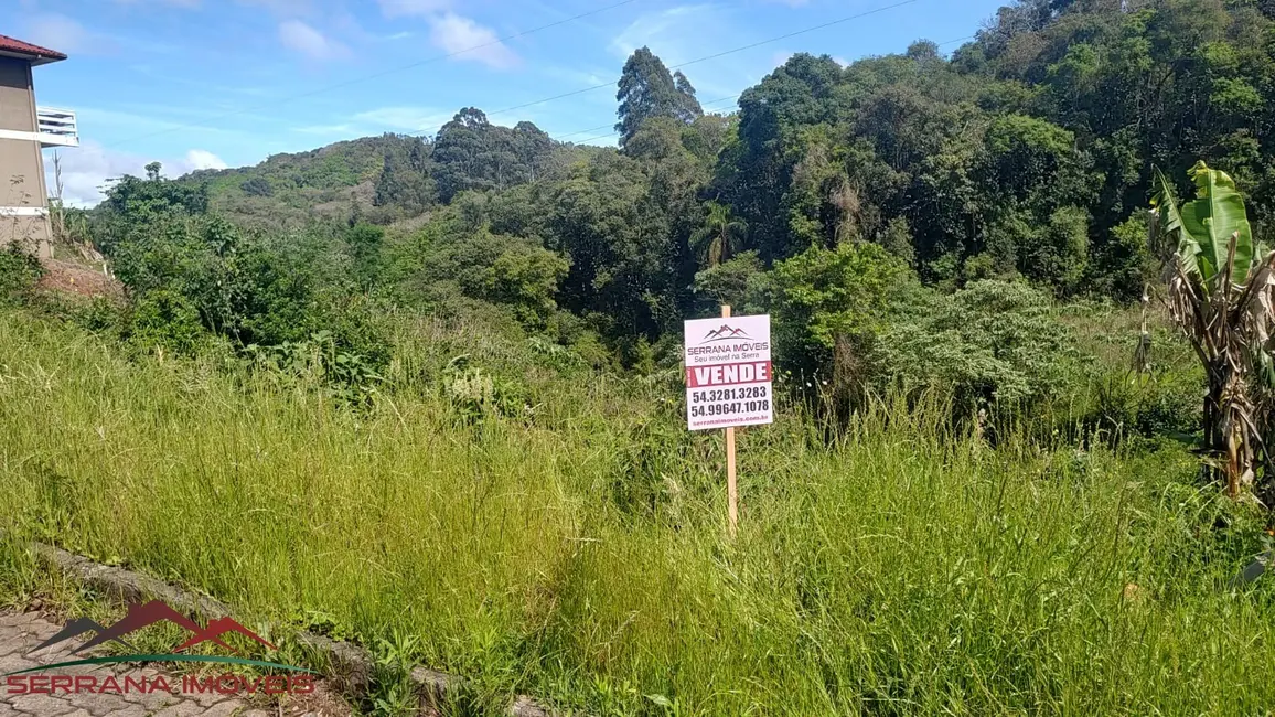 Terreno / Lote à venda, 390m2 em Nova Petropolis - RS - imagem 5 Foto 5 de Terreno / Lote à venda, 390m2 em Nova Petropolis - RS