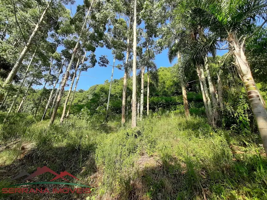 Terreno / Lote à venda, 20000m2 em Nova Petropolis - RS - imagem 7 Foto 7 de Terreno / Lote à venda, 20000m2 em Nova Petropolis - RS