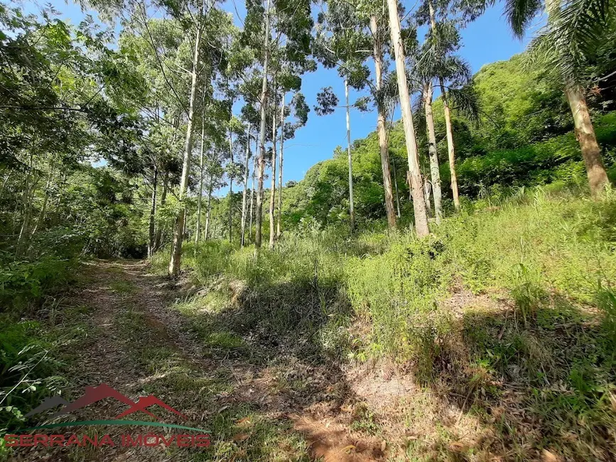 Terreno / Lote à venda, 20000m2 em Nova Petropolis - RS - imagem 6 Foto 6 de Terreno / Lote à venda, 20000m2 em Nova Petropolis - RS