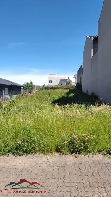 Terreno / Lote à venda, 529m2 em Nova Petropolis - RS - imagem 4 Foto 4 de Terreno / Lote à venda, 529m2 em Nova Petropolis - RS