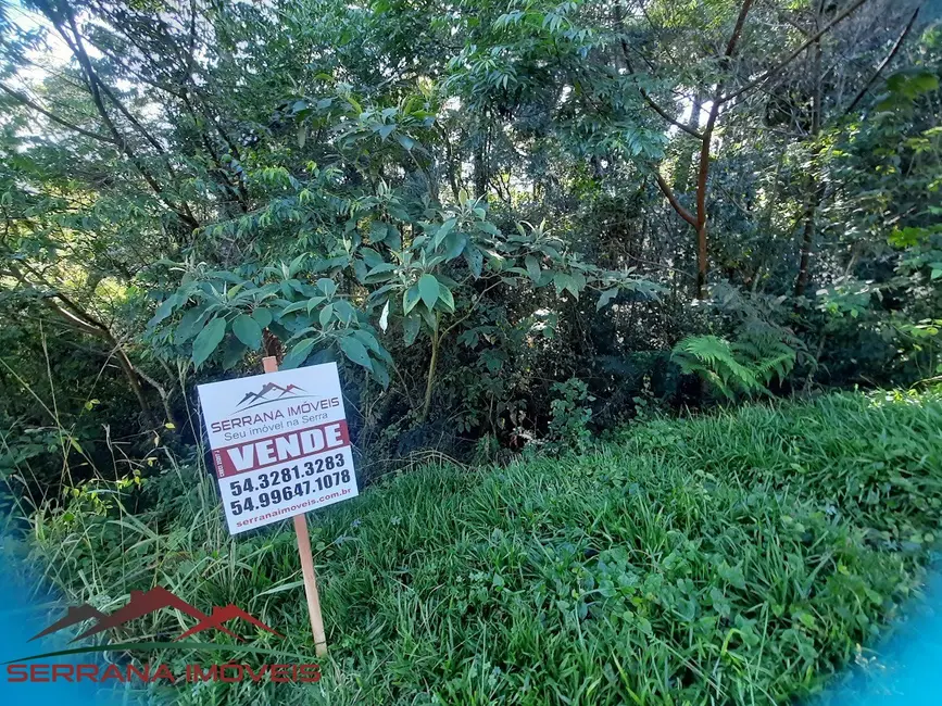 Foto 1 de Terreno / Lote à venda, 384m2 em Nova Petropolis - RS