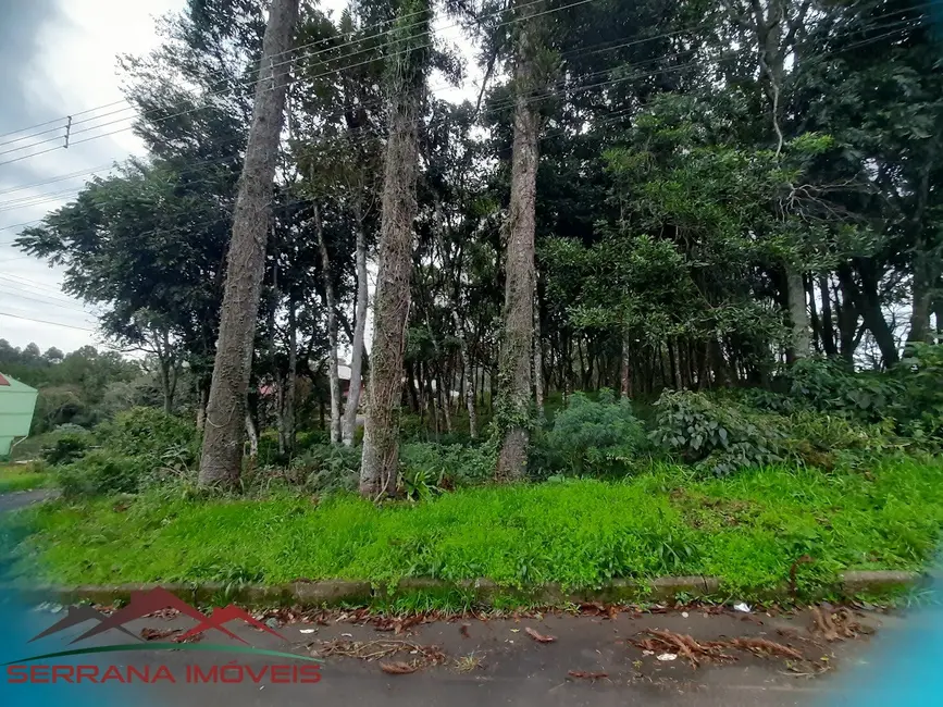 Foto 5 de Terreno / Lote à venda, 453m2 em Nova Petropolis - RS