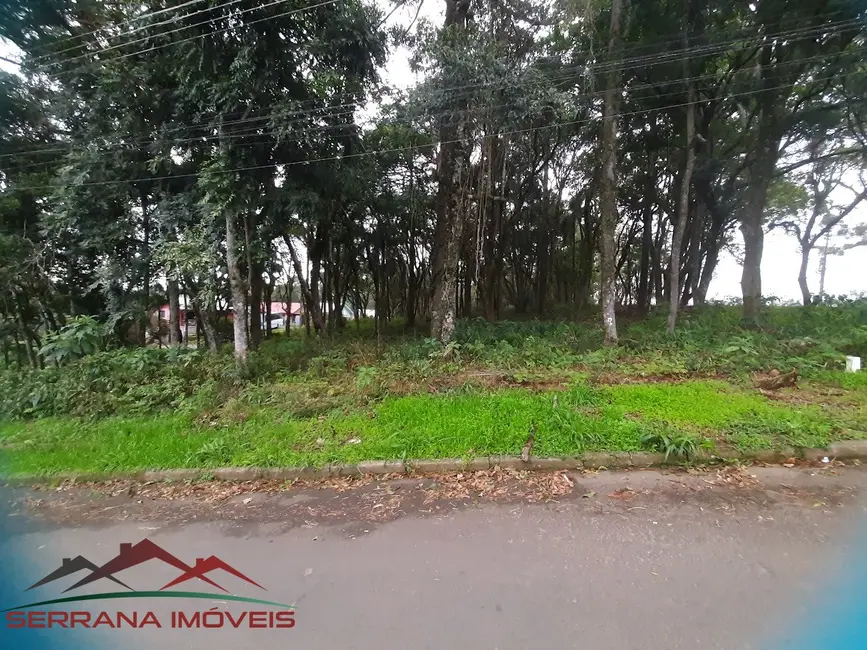 Foto 3 de Terreno / Lote à venda, 453m2 em Nova Petropolis - RS