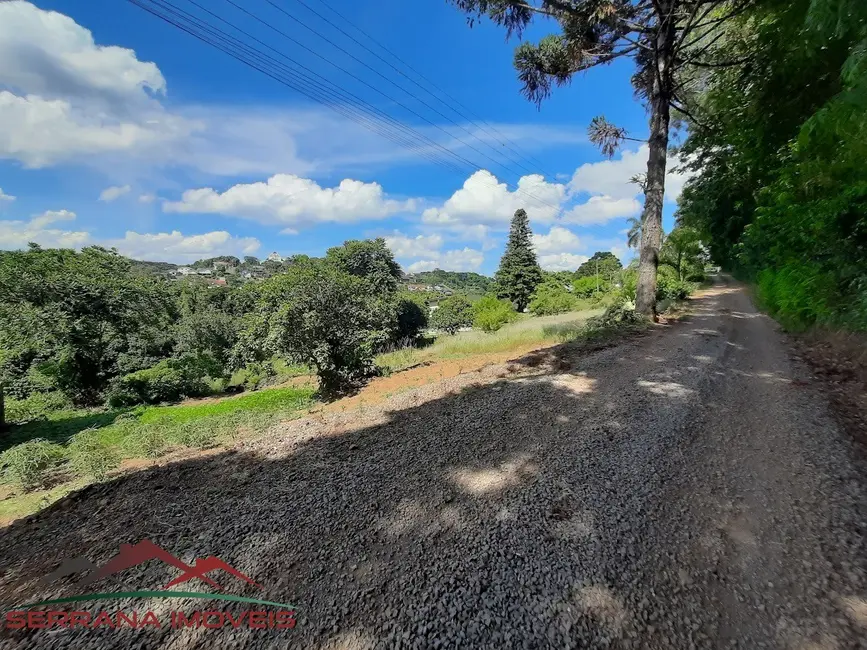 Foto 9 de Terreno / Lote à venda, 8663m2 em Nova Petropolis - RS