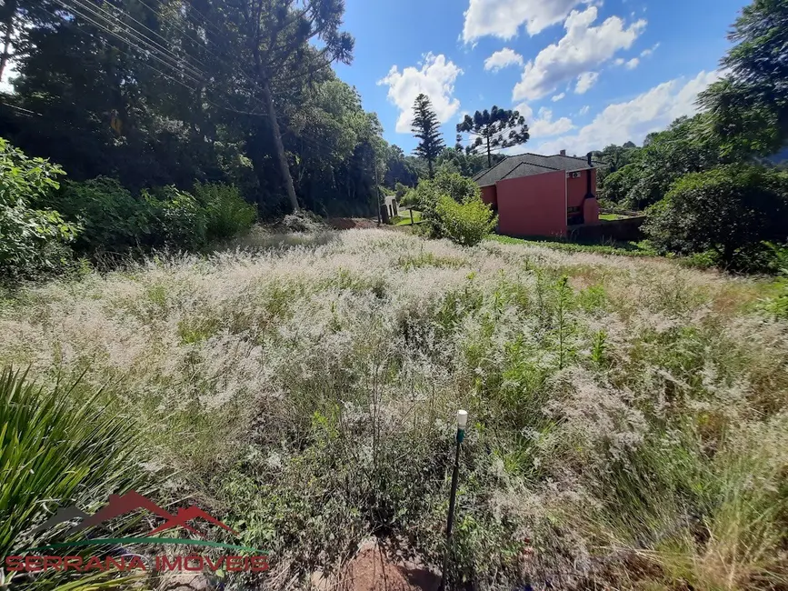 Foto 5 de Terreno / Lote à venda, 8663m2 em Nova Petropolis - RS