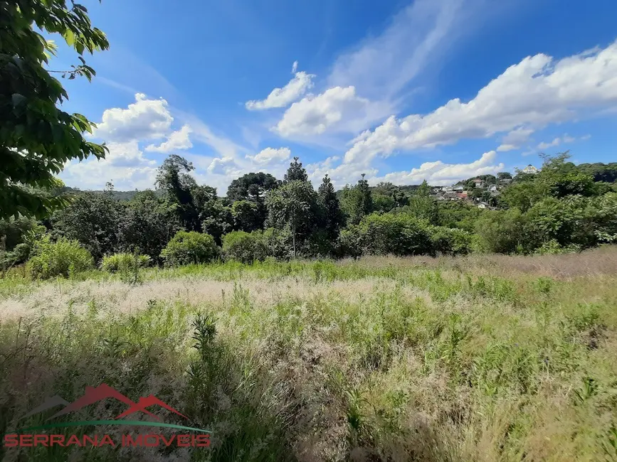 Foto 2 de Terreno / Lote à venda, 8663m2 em Nova Petropolis - RS