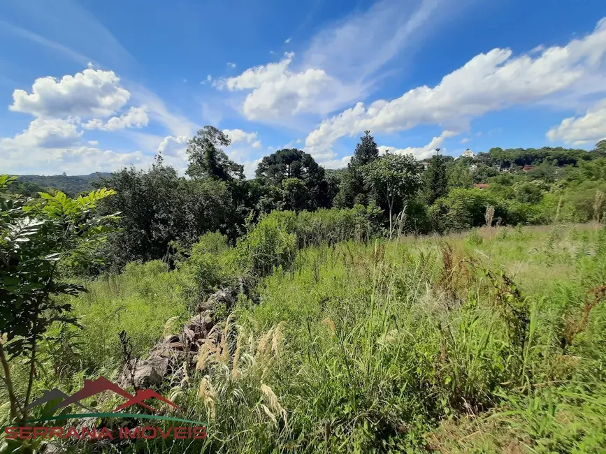 Foto 3 de Terreno / Lote à venda, 8663m2 em Nova Petropolis - RS
