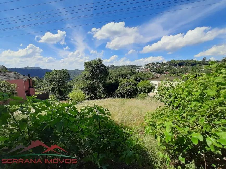 Foto 6 de Terreno / Lote à venda, 8663m2 em Nova Petropolis - RS