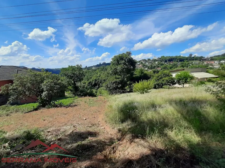 Foto 7 de Terreno / Lote à venda, 8663m2 em Nova Petropolis - RS