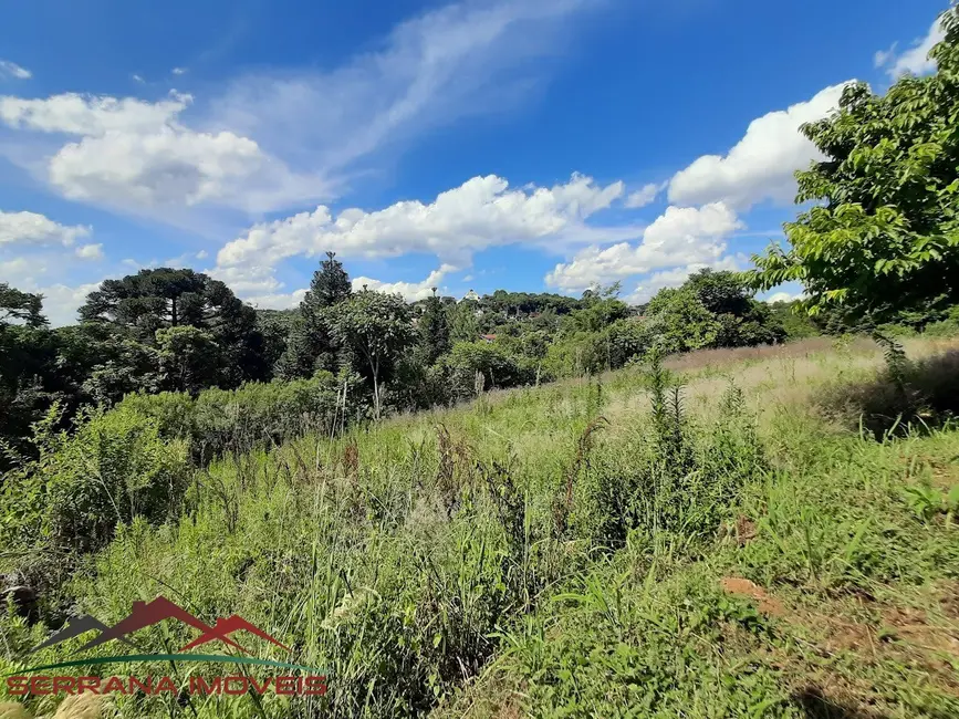Foto 4 de Terreno / Lote à venda, 8663m2 em Nova Petropolis - RS