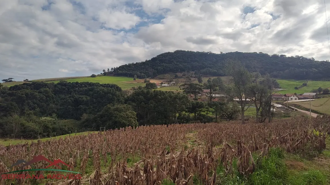 Foto 7 de Terreno / Lote à venda em Nova Petropolis - RS