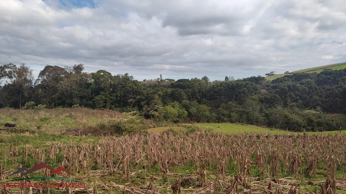 Foto 8 de Terreno / Lote à venda em Nova Petropolis - RS