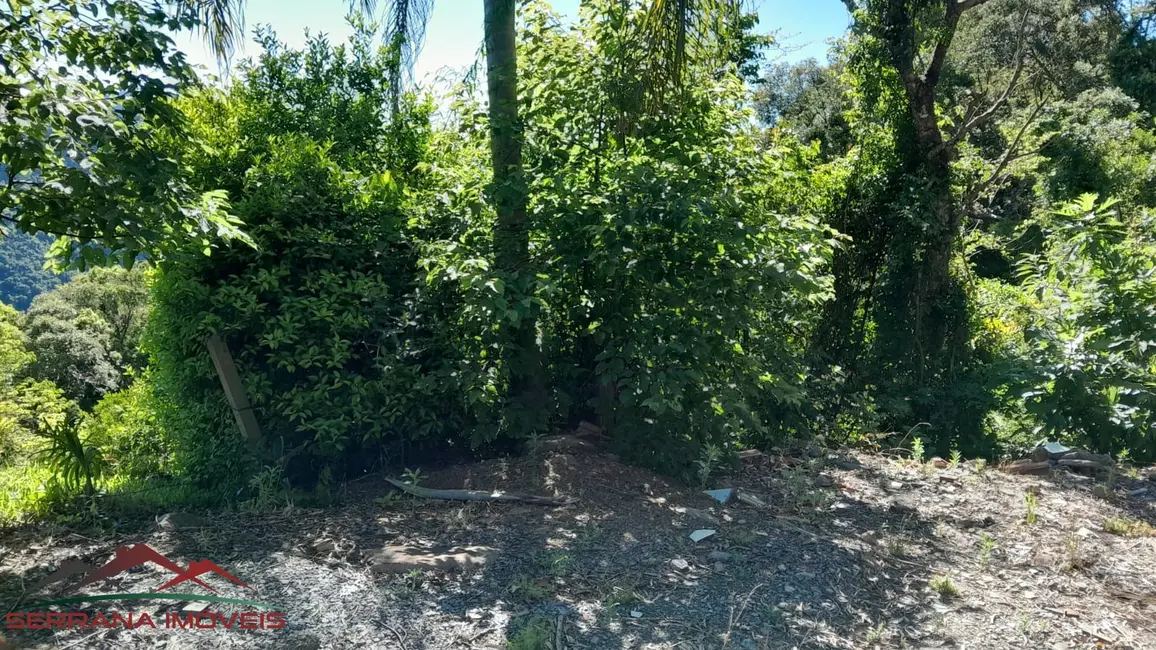 Foto 8 de Terreno / Lote à venda, 29126m2 em Nova Petropolis - RS