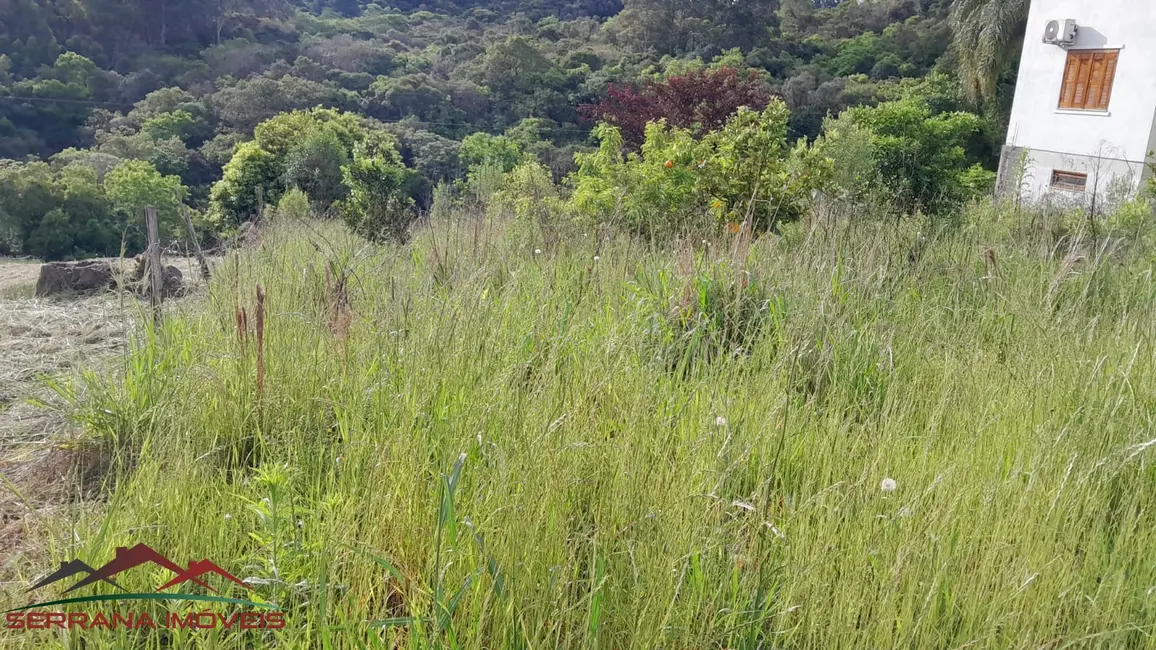 Foto 5 de Terreno / Lote à venda, 384m2 em Nova Petropolis - RS