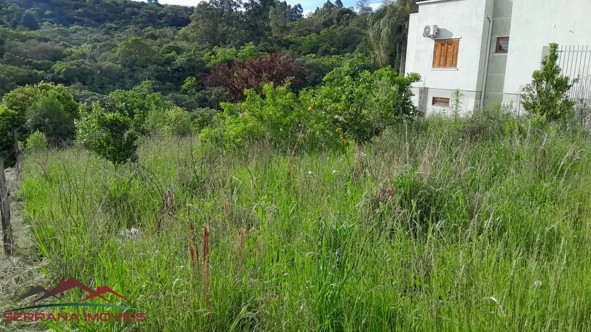 Foto 4 de Terreno / Lote à venda, 384m2 em Nova Petropolis - RS