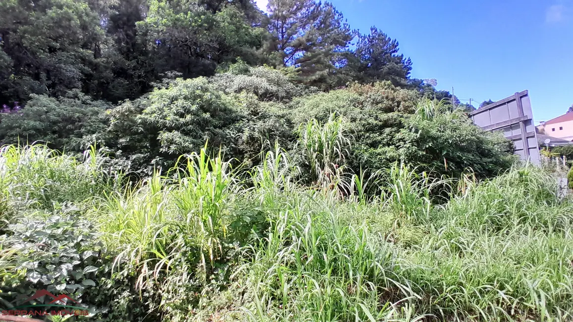Foto 4 de Terreno / Lote à venda, 510m2 em Nova Petropolis - RS