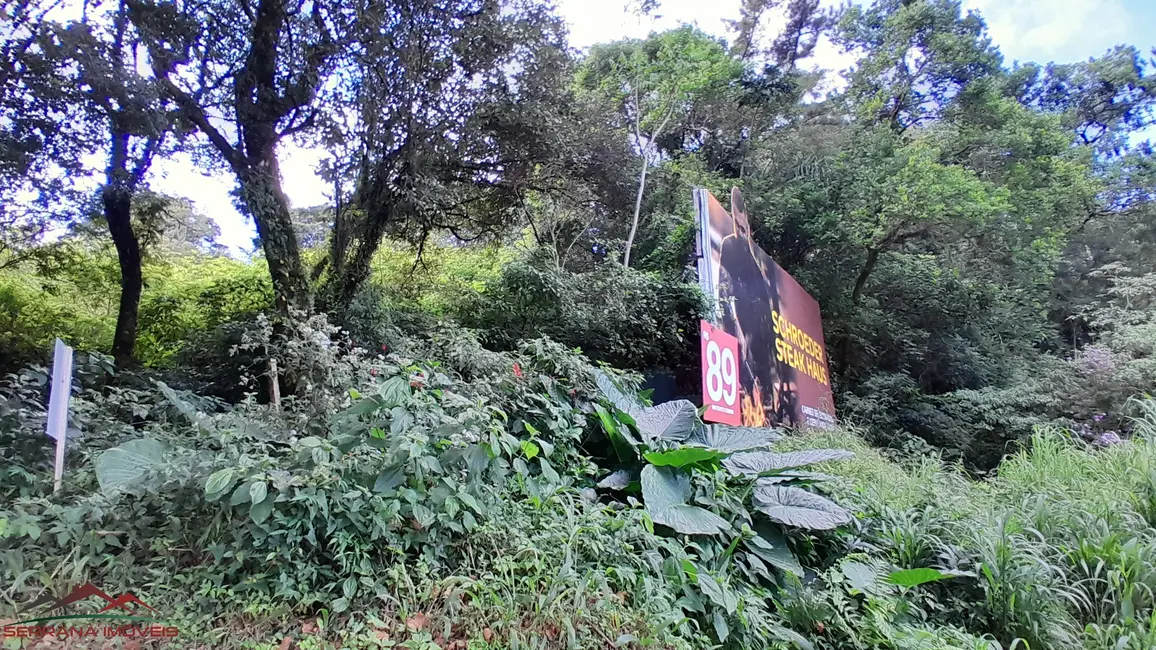 Foto 2 de Terreno / Lote à venda, 510m2 em Nova Petropolis - RS