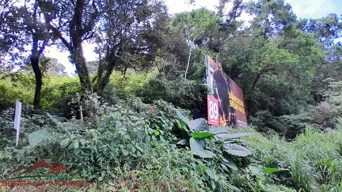 Foto 7 de Terreno / Lote à venda, 510m2 em Nova Petropolis - RS