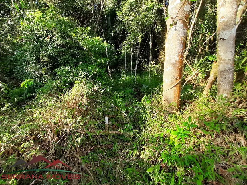 Foto 7 de Terreno / Lote à venda, 20000m2 em Nova Petropolis - RS